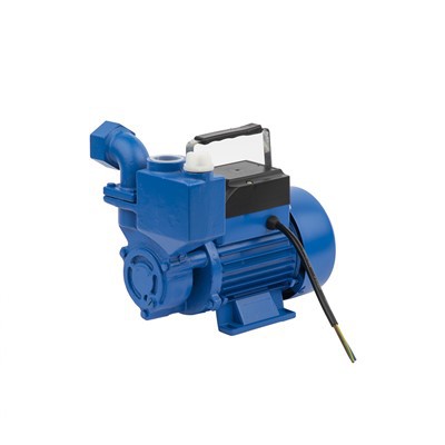 IZDB-৩৫ স্ব-প্রাইমিং পেরিফেরাল পাম্প 0.37kW 35L/min 35m হেড 1" আউটলেট